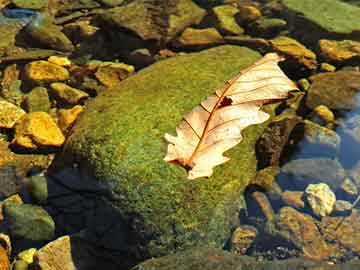 京山打胎药刚开始流血多吗(打胎药刚开始流血多吗多久)